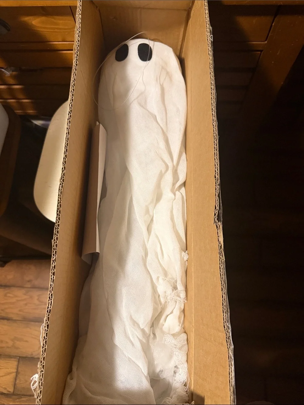 Pottery Barn Lit Ghost 👻 BN